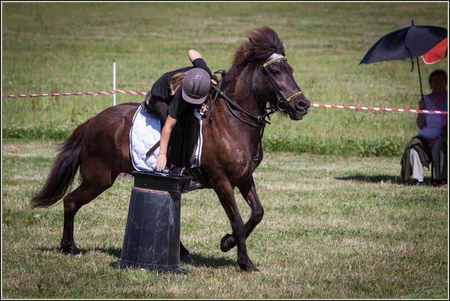 Mounted Games 263